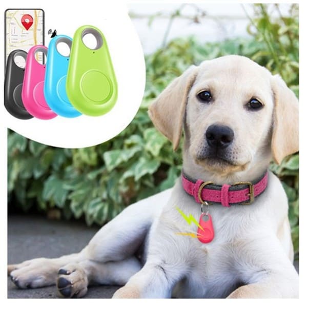 Rastreador GPS Pet Spotter Mascotas